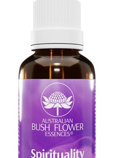 SPIRITUALITY ESS 30ML GTT