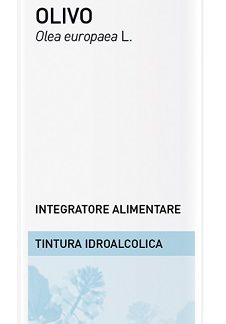OLIVO SOLUZIONE IDROALCOLICA 50 ML EBV