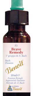BRAVE REMEDY 10 ML