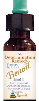 DETERMINATION REMEDY 28 ML