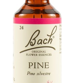 PINE BACH ORIG 20 ML