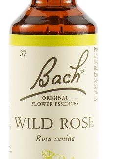 WILD ROSE BACH ORIG 20 ML