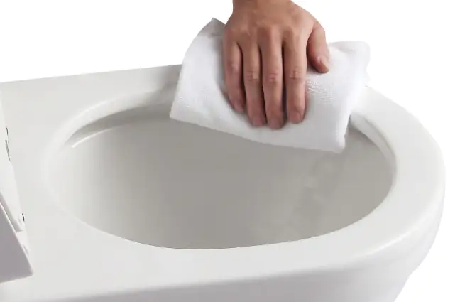 Primaster Wand WC spülrandlos Medea Tiefspüler weiß inkl. WC Sitz