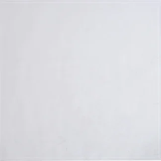 Firefix Kamin-Glasbodenplatte 8 mm mit Facette 120 x 120 cm