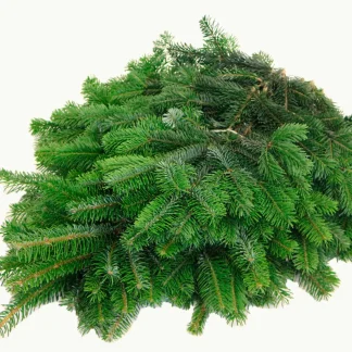 Nordmanntannen Schnittgrün ca 4 kg