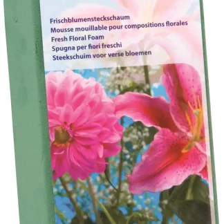 Glorex Steckschaum für Frischblumen