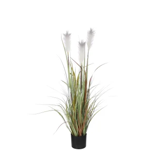 Mica Federgras in Topf braun 115 x 45 cm