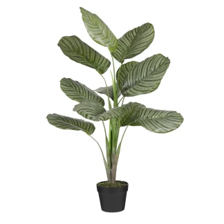 Mica Kunstpflanze Calathea orbifolia im Topf grün 90 x 60 cm