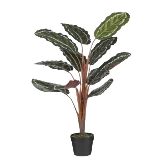 Mica Kunstpflanze Calathea roseopicta im Topf grün 90 x 60 cm