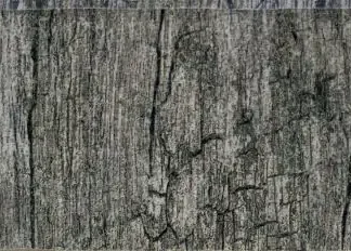 Sockel Corteccia 31 x 7 cm grau