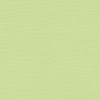 Rasch Vliestapete 804515 Selection uni grün 10,05 x 0,53 m