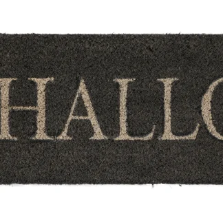 Fußmatte Hallo Kokos grau, 26 x 75 cm