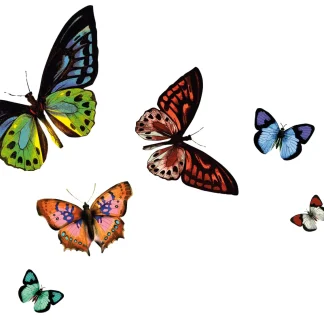 d-c-table® Tischset Rio Papilio 44 x 29 cm