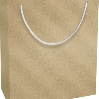 Braun & Company Geschenktasche Uni Kraftpapier mittel 16 x 22 x 8 cm