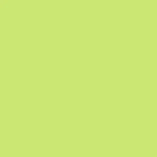 Braun & Company Servietten Colours of Lime 33 x 33 cm - 20er Pack