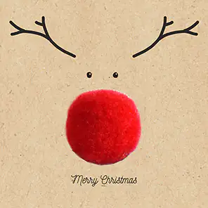 Braun & Company Servietten By Nature Big red Nose 33 x 33 cm - 20er Pack