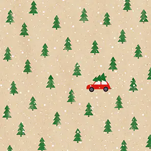 Braun & Company Servietten By Nature Little red Car 33 x 33 cm - 20er Pack