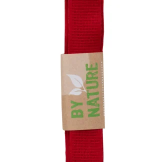 Braun & Company Band Strängchen rot 15 mm x 2 m