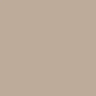 Braun & Company Servietten Soft Touch taupe 33 x 33 cm - 20 er Pack