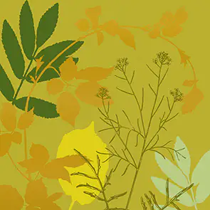 Braun & Company Servietten Atelier Magic Forest oliv 33 x 33 cm - 20er Pack