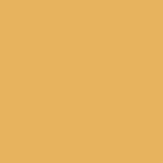 Braun & Company Soft Touch Servietten Colours of Papaya 19 x 19 cm - 50er Pack