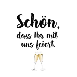 Braun & Company Servietten Schön Feiern 25 x 25 cm - 20er Pack