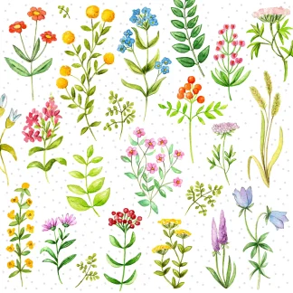 Braun & Company Servietten Motiv Viele Blümchen 33 x 33 cm - 20er Pack