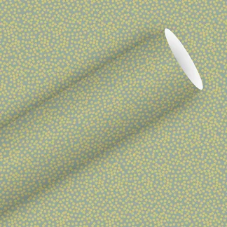 Braun & Company Geschenkpapier mint 2 m x 70 cm