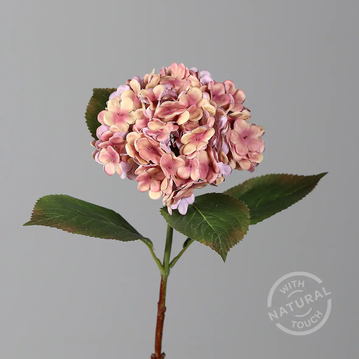 DPI Hortensie salmon 52 cm