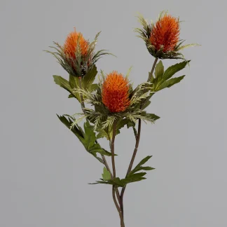DPI Distelzweig orange 68 cm