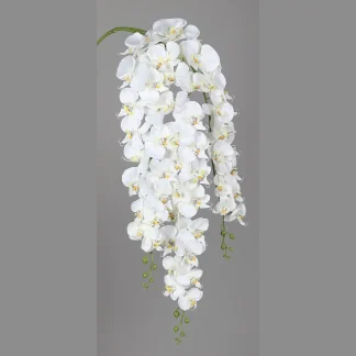 DPI künstliche Orchidee Phalaenopsis Hänger creme 115 cm