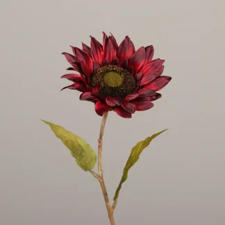 DPI Sonnenblume burgund 60 cm
