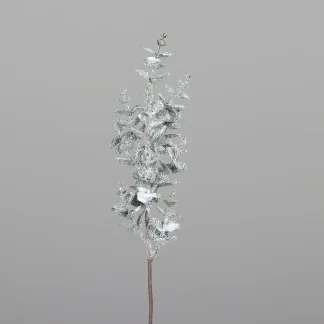 DPI Eukalyptus beeist 50 cm