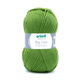 Gründl Wolle Big Lisa Premium 250 g maigrün