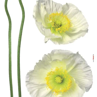 Komar Decosticker Pavot Blanc 50 x 70 cm