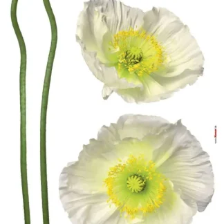Komar Decosticker Pavot Blanc 50 x 70 cm
