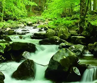 papermoon Vlies- Fototapete Digitaldruck 350 x 100 cm Soft Water Stream