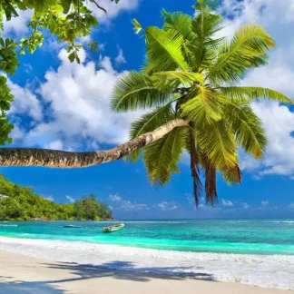 papermoon Vlies- Fototapete Digitaldruck 350 x 260 cm Seychelles Palm Beach