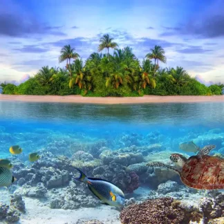 papermoon Vlies- Fototapete Digitaldruck 350 x 260 cm Marine Life Maldives