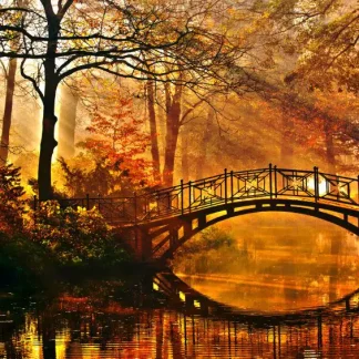 papermoon Vlies- Fototapete Digitaldruck 350 x 260 cm Misty Park Bridge