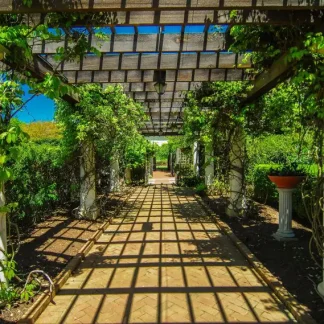 papermoon Vlies- Fototapete Digitaldruck 350 x 260 cm Garden Walkway