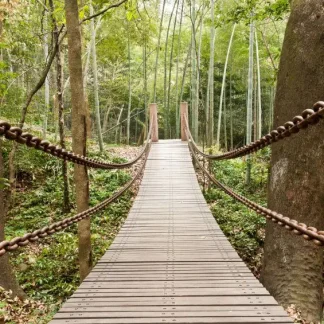 papermoon Vlies- Fototapete Digitaldruck 350 x 260 cm Suspension Bridge