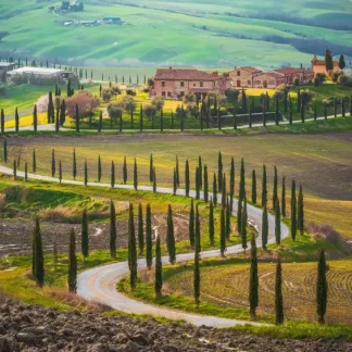 papermoon Vlies- Fototapete Digitaldruck 350 x 260 cm Fields in Tuscany