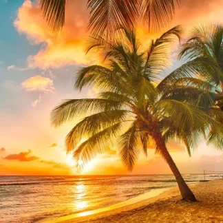 papermoon Vlies- Fototapete Digitaldruck 350 x 260 cm Barbados Palm Beach