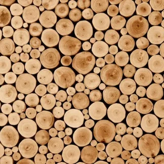 papermoon Vlies- Fototapete Digitaldruck 350 x 260 cm Round Teak Wood