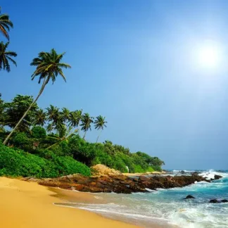 papermoon Vlies- Fototapete Digitaldruck 350 x 260 cm Sri Lanka Tropical Beach