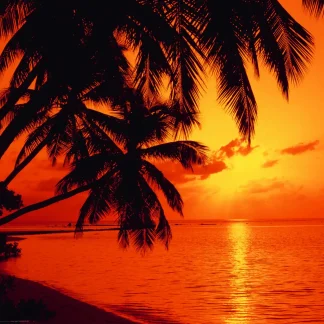 papermoon Vlies- Fototapete Digitaldruck 350 x 260 cm Tropical Sunset
