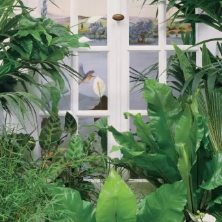 papermoon Vlies-Fototapete Wand & Türdekor Digitaldruck 90 x 200 cm Flower Window