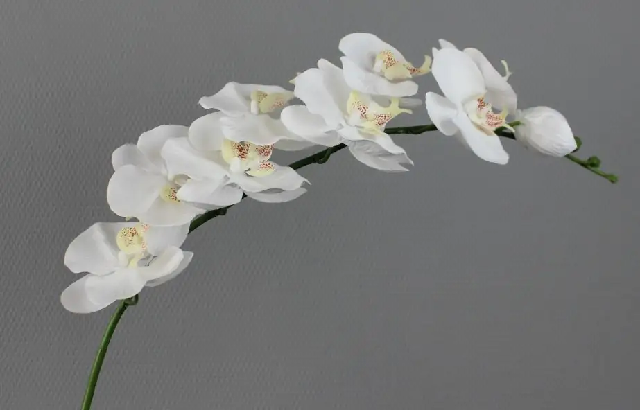 artfleur künstliche Orchidee 92 cm weiß