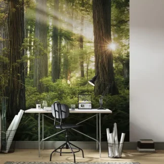 Komar Vlies Fototapete Goblins Woods 250 x 280 cm